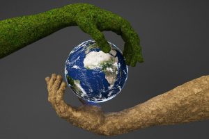 Green is the New Global: Top Countries Offering Sustainability-Focused Degrees in 2025